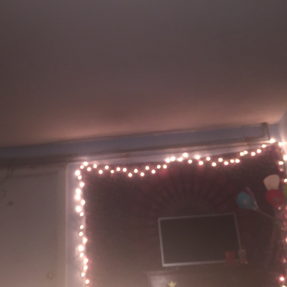 Meet your Posher, Iris - Picture 1 of 1